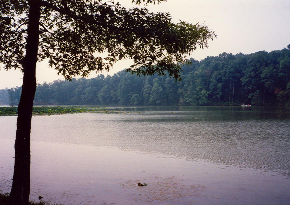 Lake Murphysboro SP
