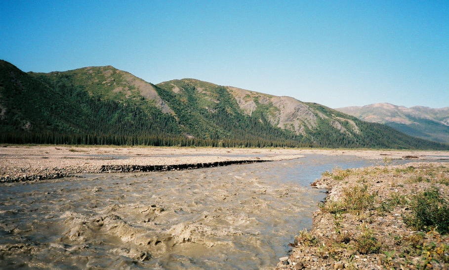 {short description of image}