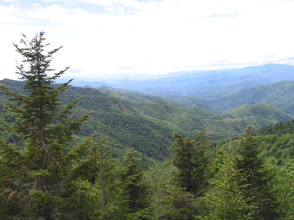 Blue Ridge Parkway Scene 1