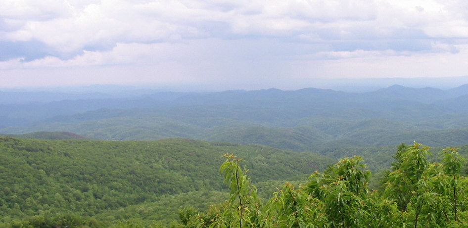Blue Ridge Parkway Scene 10