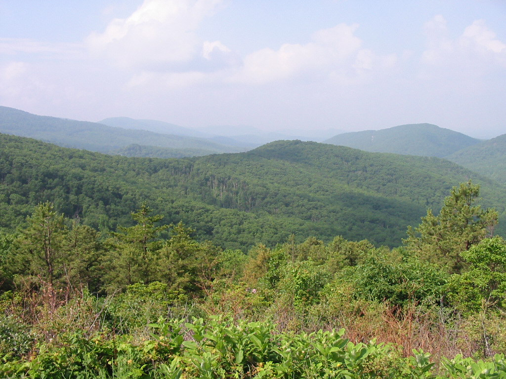 Blue Ridge Parkway Scene 12