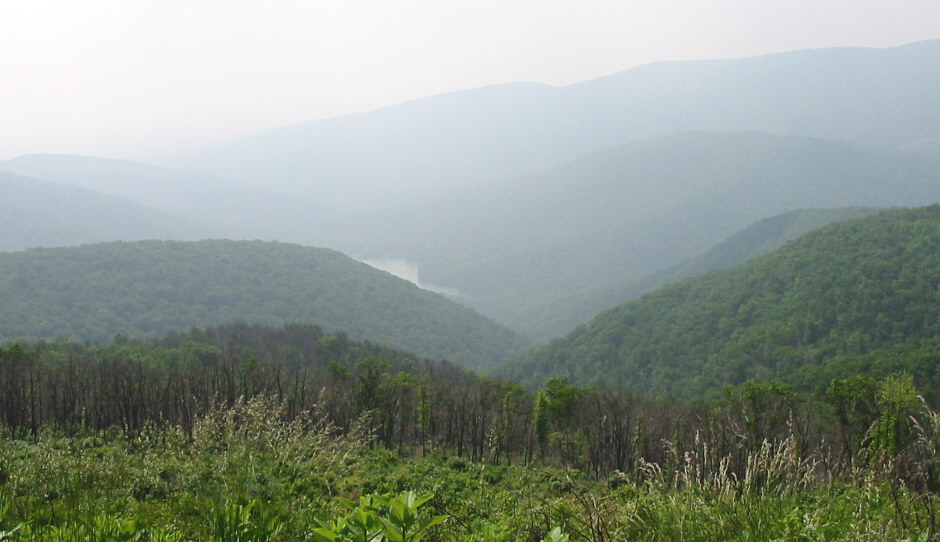 Blue Ridge Parkway Scene 14