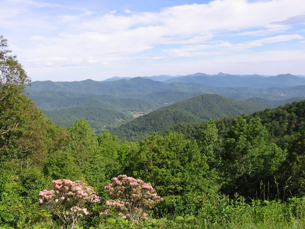 Blue Ridge Parkway Scene 7
