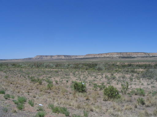 New Mexico